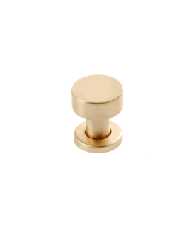 Pomo de acero inoxidable RING