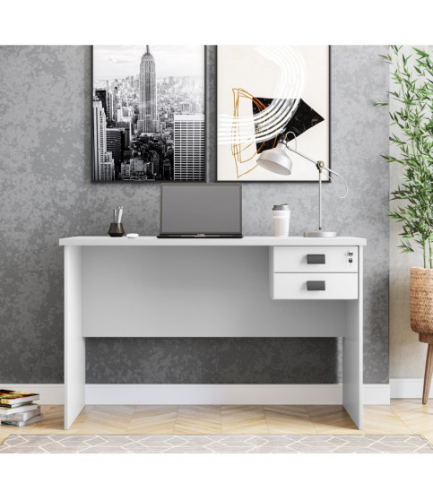 Mesa de oficina ECO, 2 cajones, bilaminado color platino 120 x 60 cm